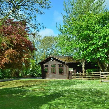 31 Tudor Court, Tolroy Manor Hayle Zewnętrze zdjęcie